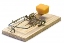 image of a mouse trap
