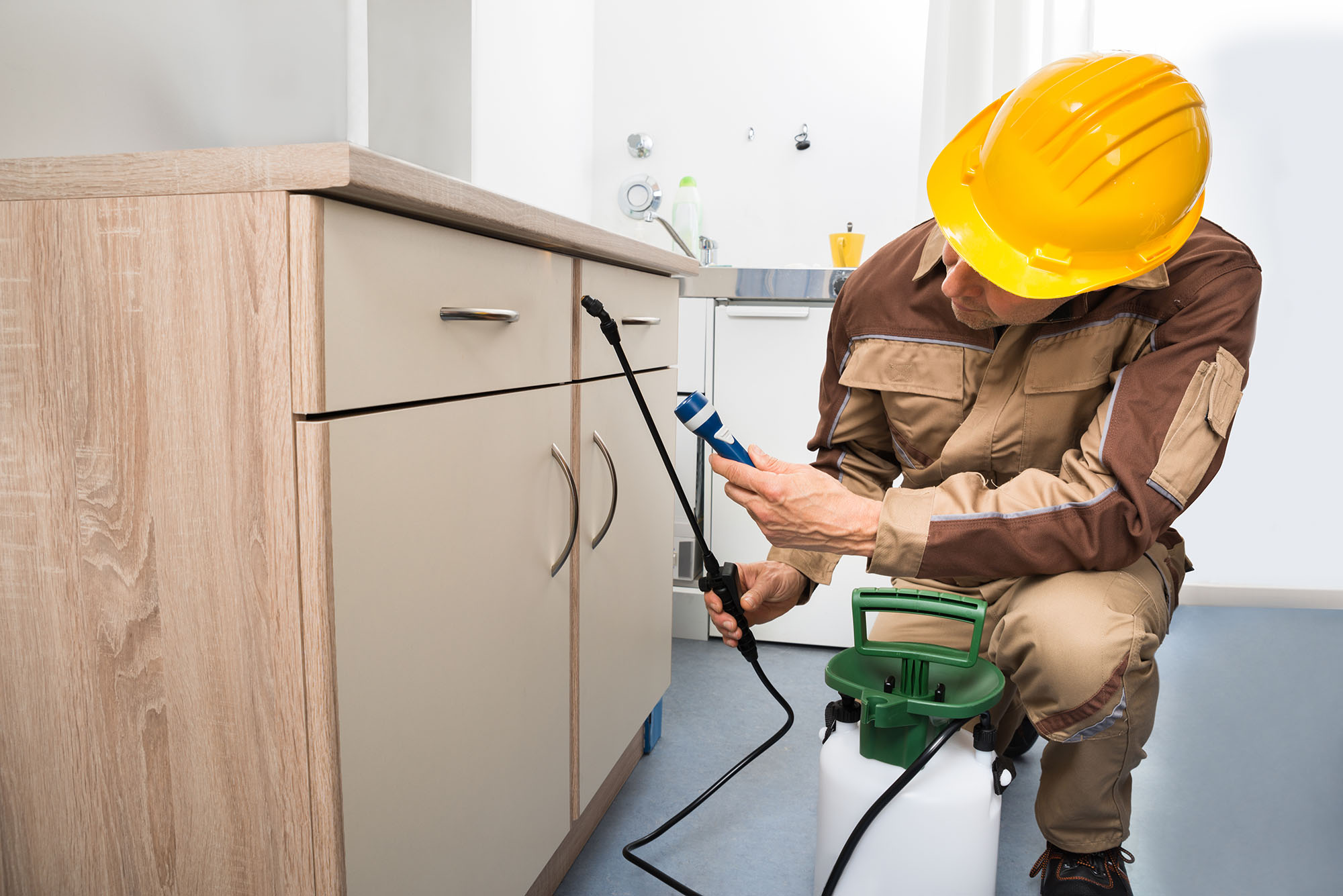 image of an exterminator