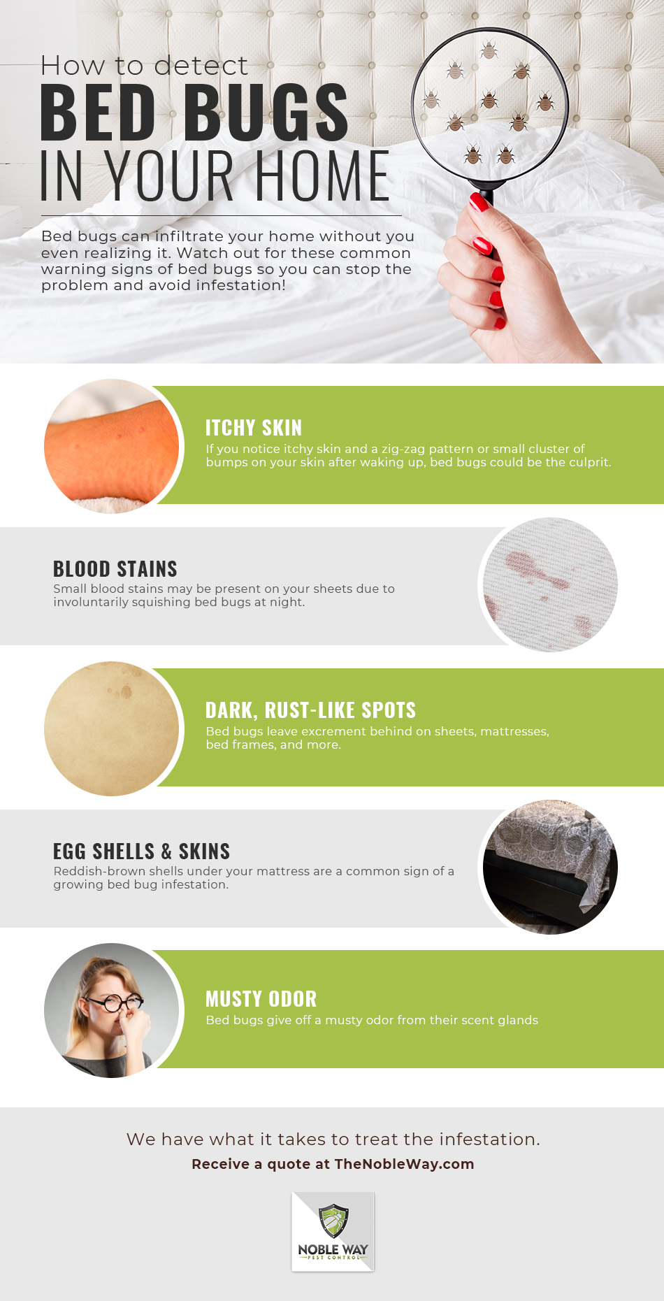 Bed Bugs in your home infograph