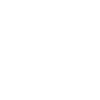 image of an insect