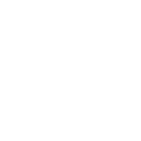 image of an insect