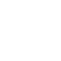 image of insects