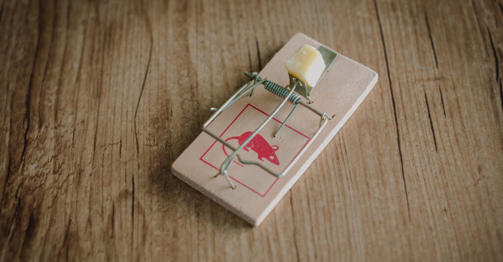 image of a mouse trap