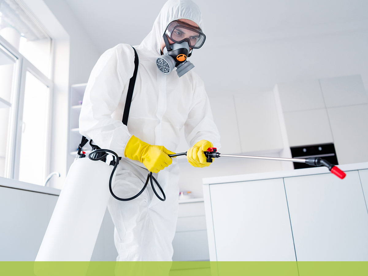 masked up technician spraying chemicals