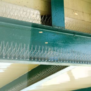 Bird Control Methods