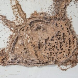 img of mud holes