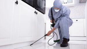 exterminator in the kitchen
