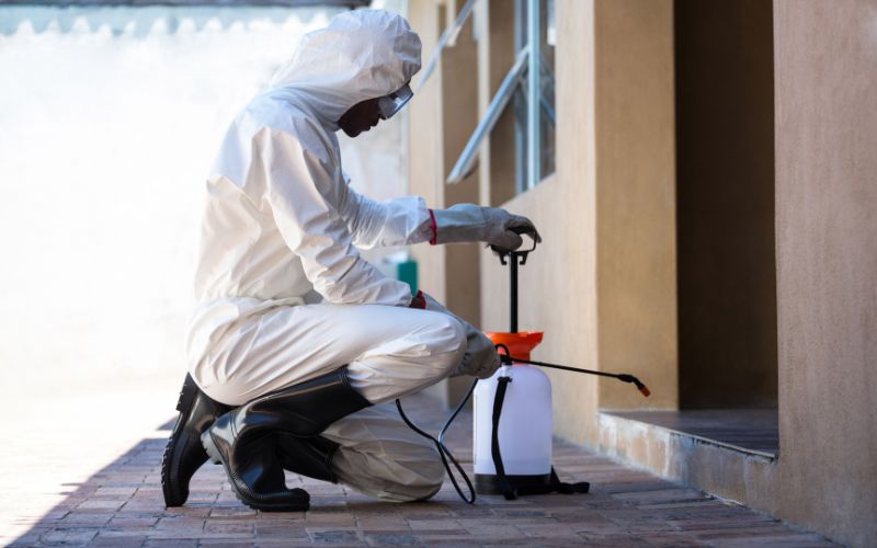 Pest Control worker spraying outside of home