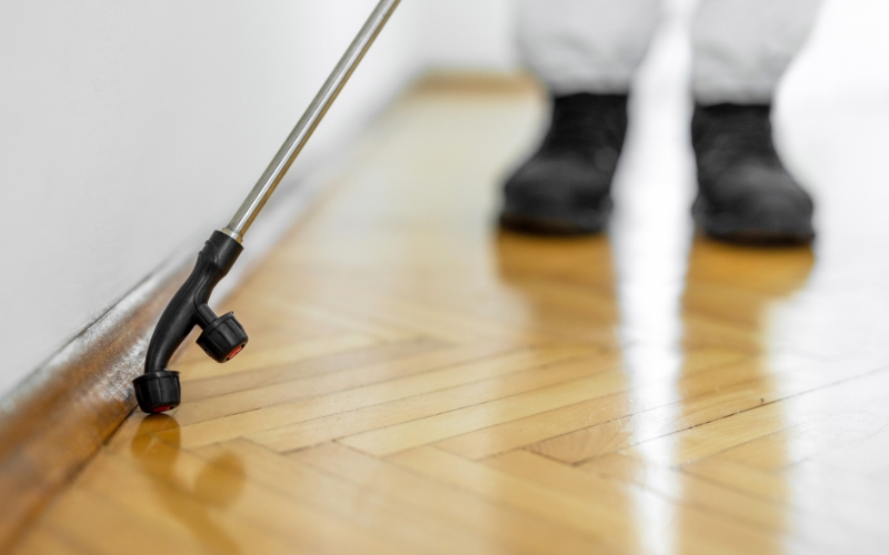 preventative pest control