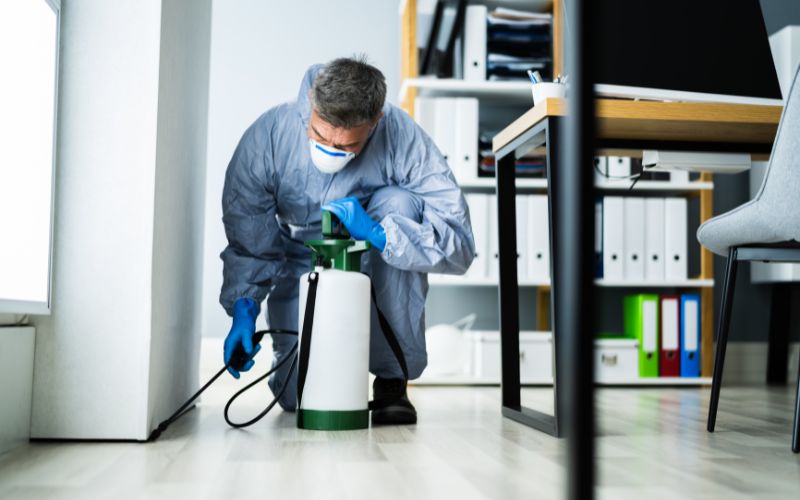 pest control spraying wall corners