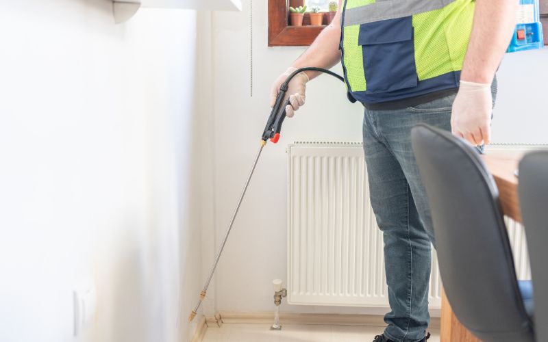 pest control spraying in house