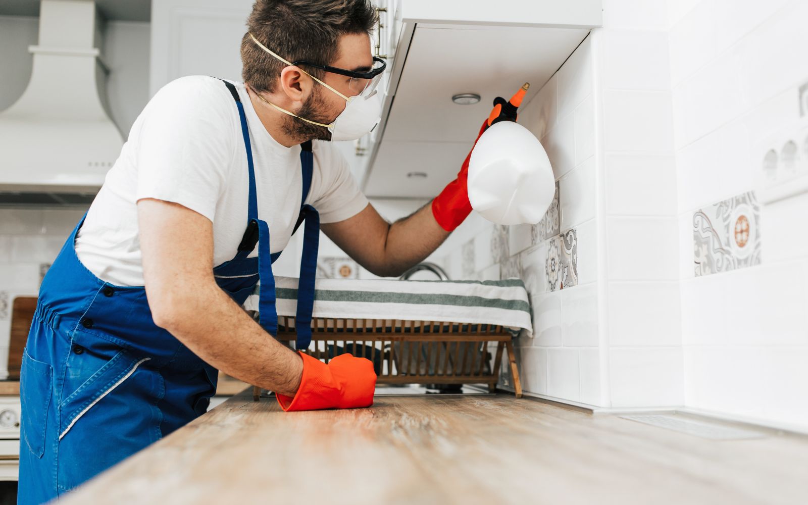 pest service
