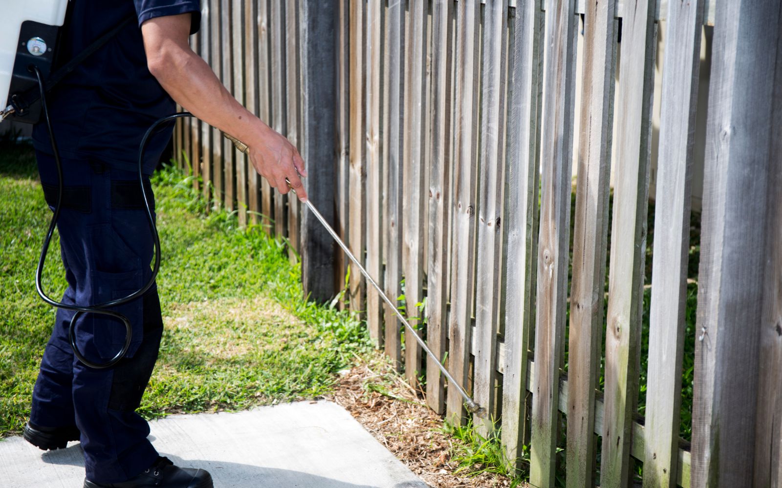 spraying a fence