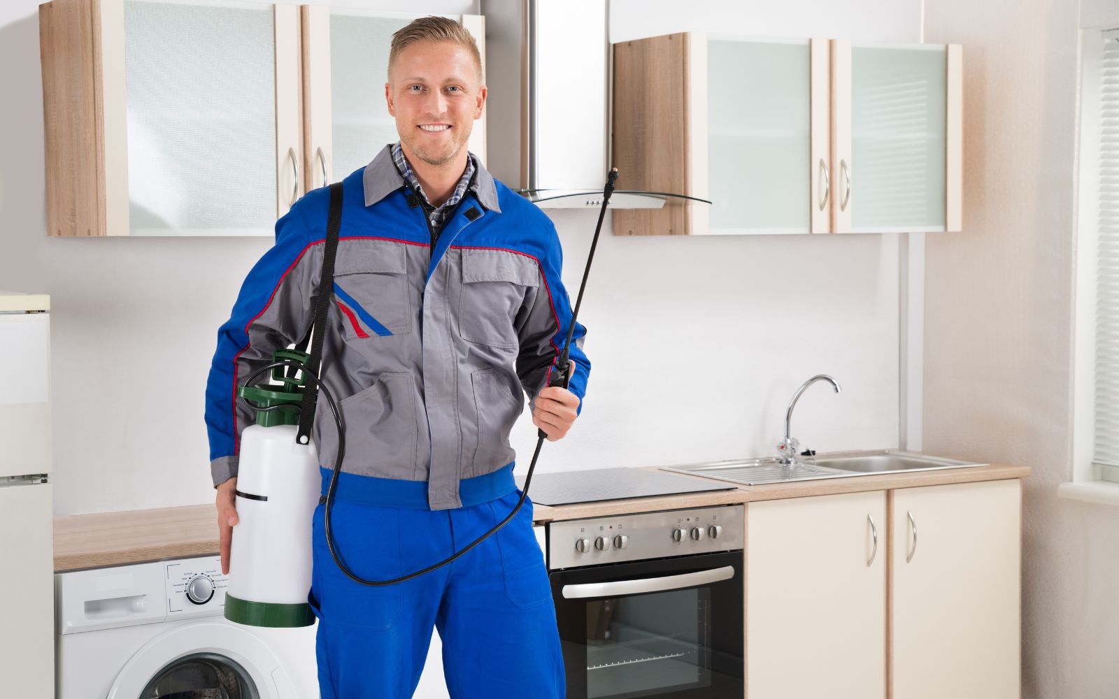 pest control expert
