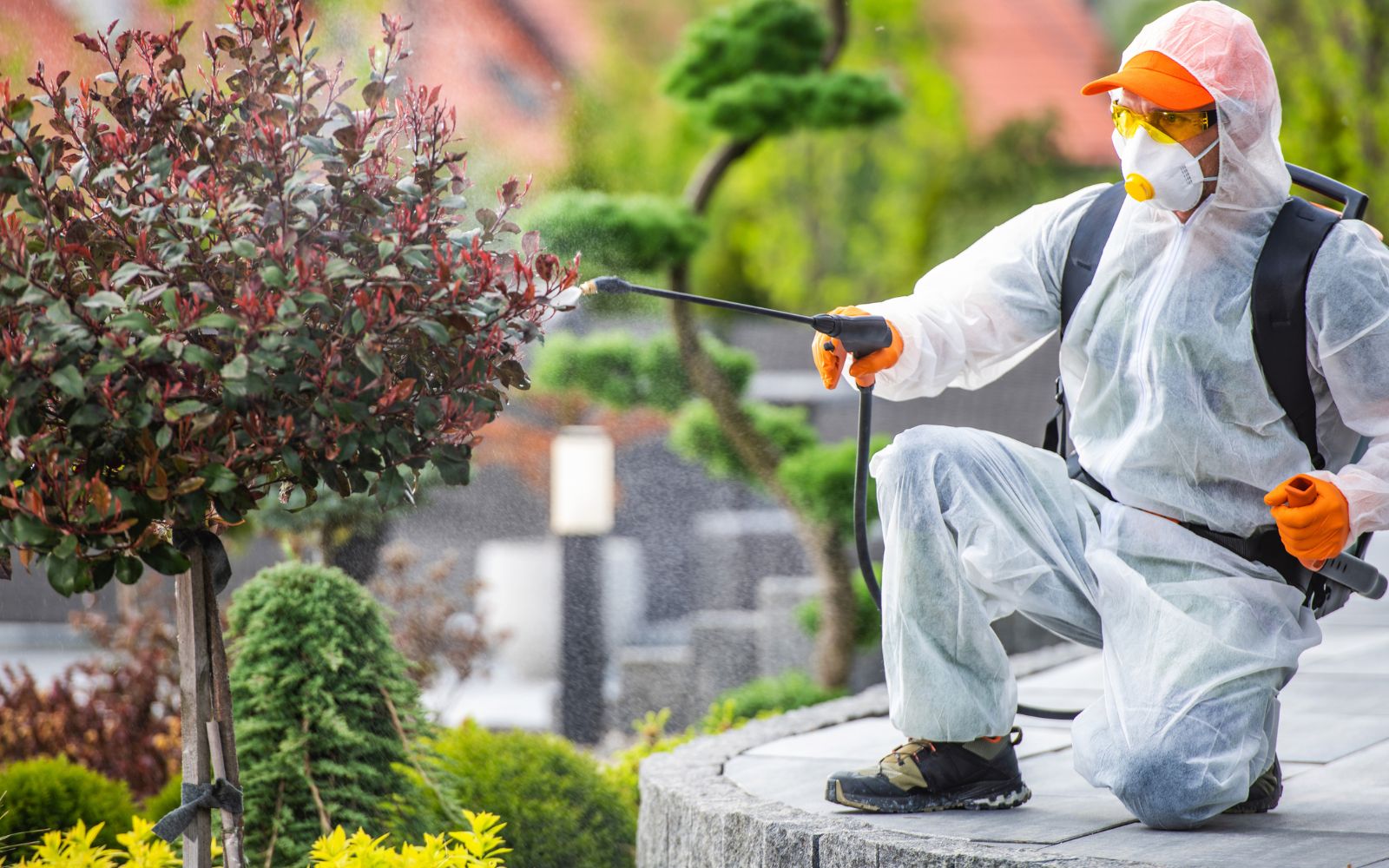pest control expert spraying outside