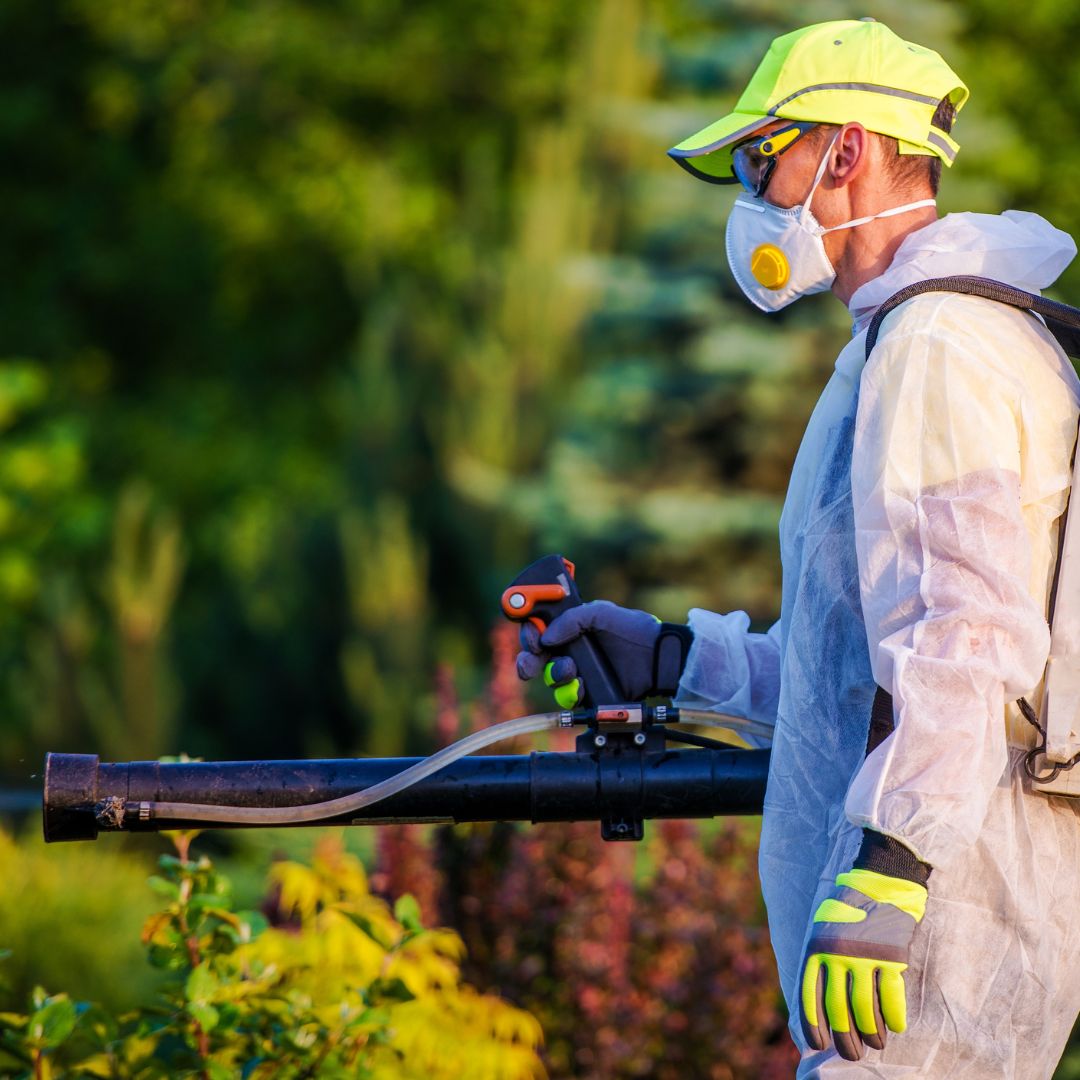 Pest Control Loomis-image3