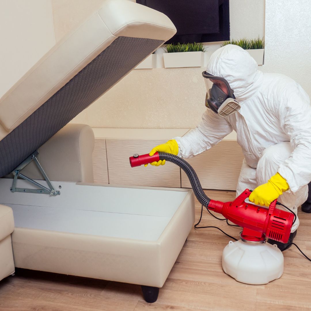 Pest Control Loomis-image4