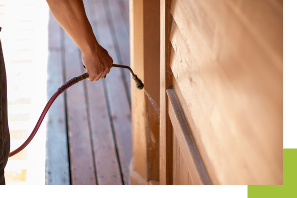 Pest Control Plumas Lake4