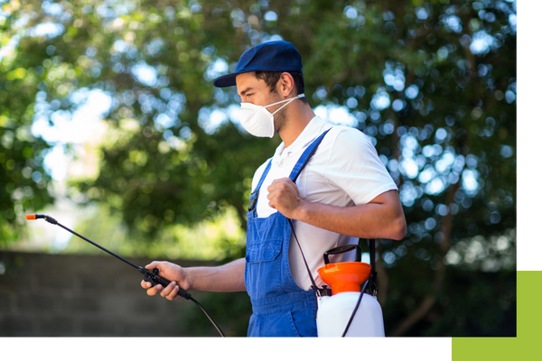 image of an exterminator