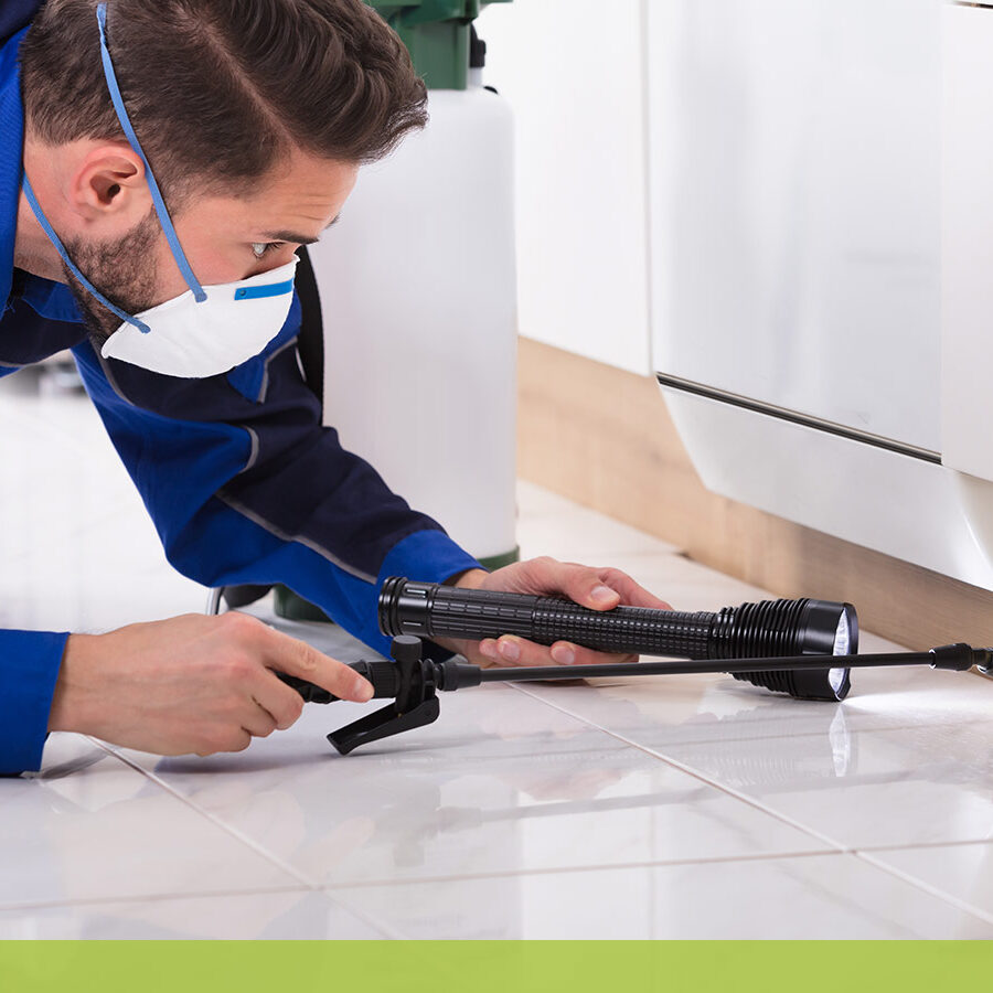 pest control worker inspecting baseboards